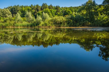 güneşli bir gölet
