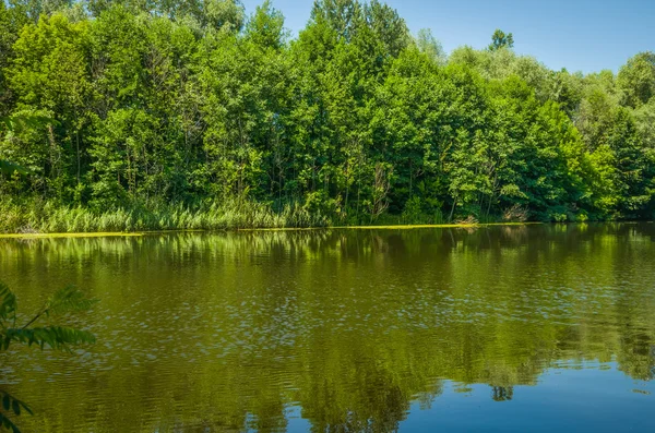 Sunny day on a calm river in summer — Stock Photo, Image