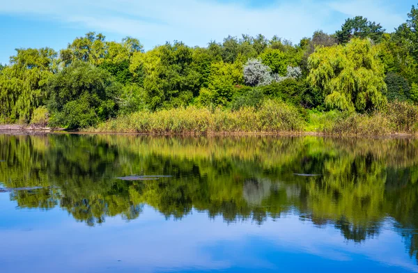 Lagoa em um dia de sol — Fotografia de Stock