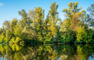 Yaz aylarında Ukrayna güneşli bir günde sakin Nehri üzerinde