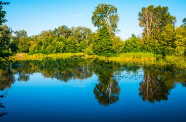 Yaz aylarında Ukrayna güneşli bir günde sakin Nehri üzerinde