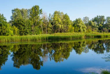 Yaz aylarında Ukrayna güneşli bir günde sakin Nehri üzerinde