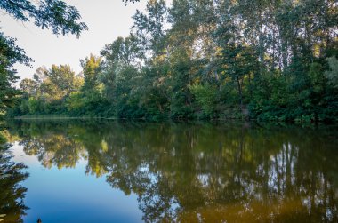 Yaz aylarında Ukrayna güneşli bir günde sakin Nehri üzerinde