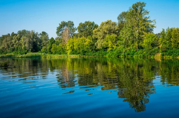 Сонячний День Спокійній Річці Влітку Україні — стокове фото