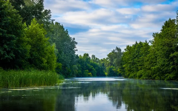 Día soleado en un río tranquilo en verano — Foto de Stock