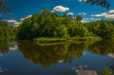 Yazın sakin bir nehirde güneşli bir gün
