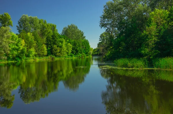 Sunny day on a calm river in summer — Stock Photo, Image