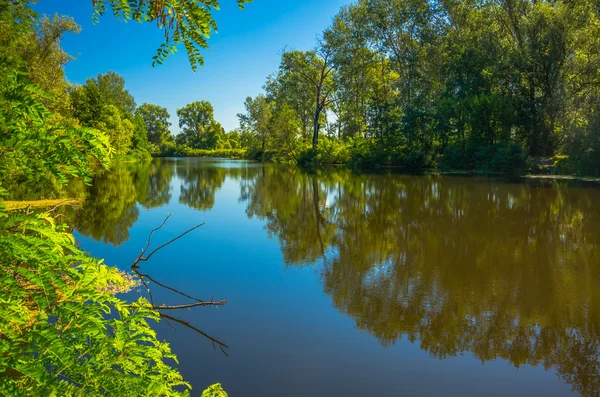 Sunny day on a calm river in summer — Stock Photo, Image