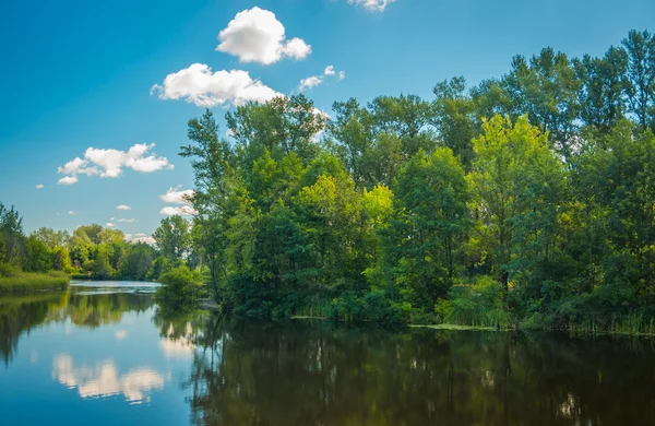 Sunny day on a calm river in summer — Stock Photo, Image