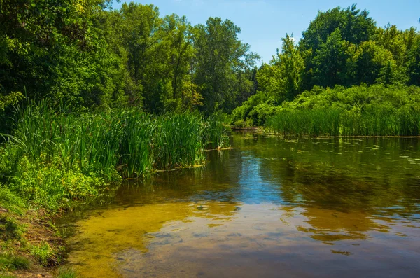 Día soleado en un río tranquilo en verano —  Fotos de Stock