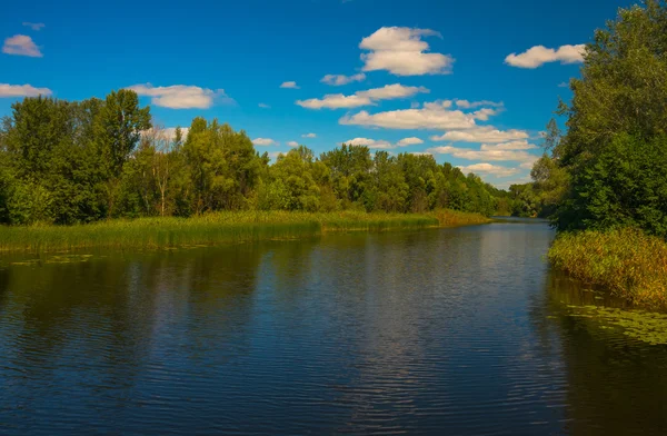 Día soleado en un río tranquilo en verano — Foto de Stock