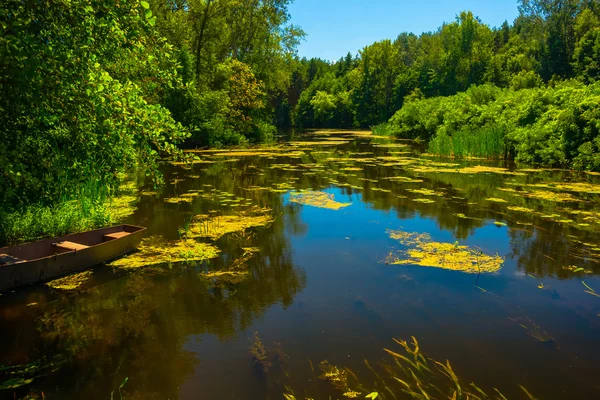 Sunny day on a calm river in summer — Stock Photo, Image