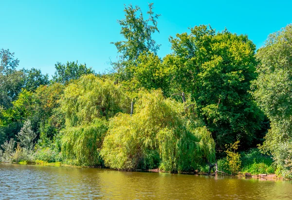 Estanque en un día soleado — Foto de Stock