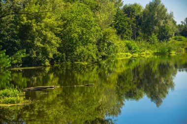 Güneşli bir gün sessiz Nehri üzerinde 