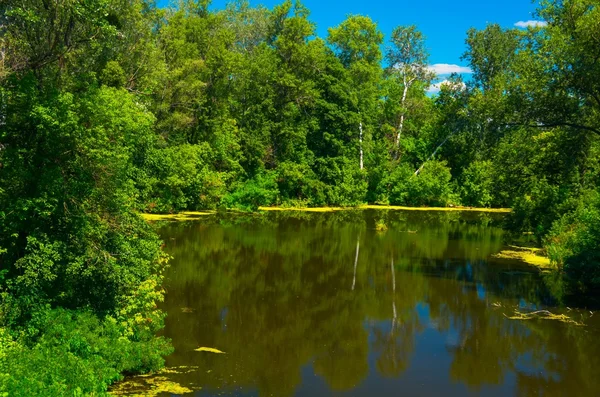 Sunny day on the quiet river — Stock Photo, Image