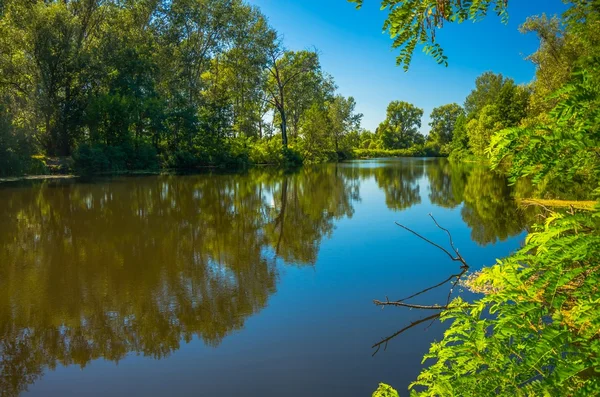 Sunny day on the quiet river — Stock Photo, Image