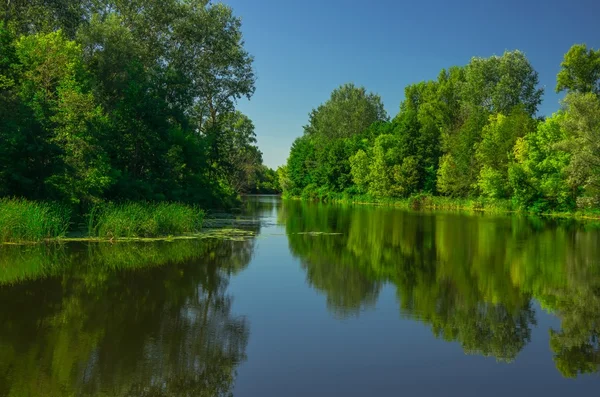 Sunny day on the quiet river — Stock Photo, Image