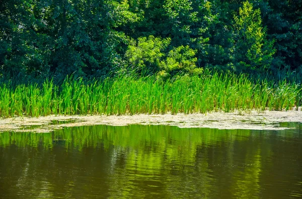 조용한 강에 화창한 날 — 스톡 사진