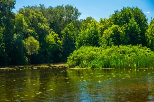 Ηλιόλουστη μέρα στον ποταμό ήσυχη — Φωτογραφία Αρχείου