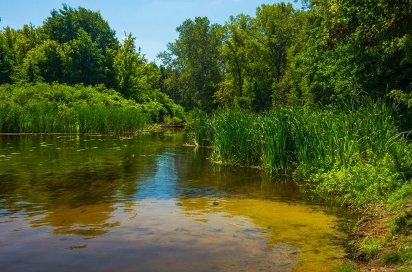 Güneşli bir gün sessiz Nehri üzerinde — Stok fotoğraf