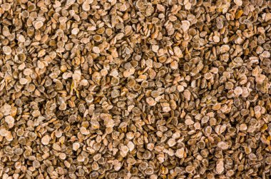  Grup eski domates tohumları üzerinde yaptı.