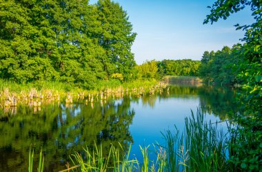 Sakin bir nehir güneşli günde 