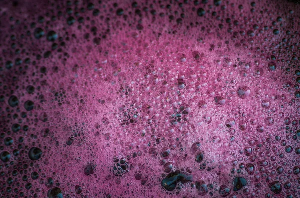 Il vino rosso da uva buona è fermentato — Foto Stock