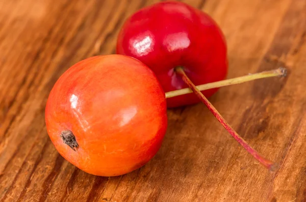 Très belles pommes rouges paradisiaques — Photo