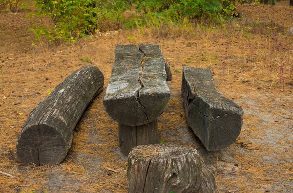 Big old wooden table in a forest — Stock Photo, Image