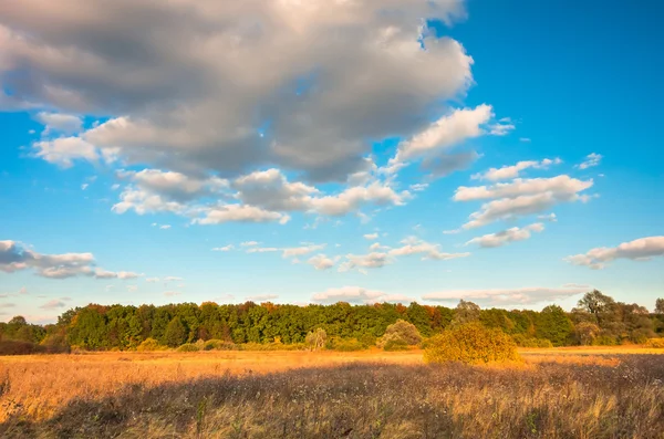 Foresta autunnale contro il cielo blu — Foto Stock