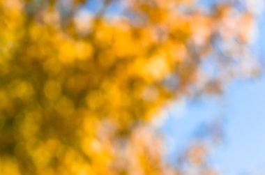 sarı, yeşil, mavi arka plan doku blur