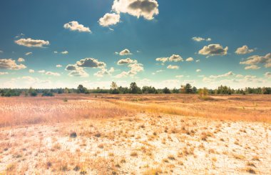 Çöl ve mavi gökyüzü bulutlu