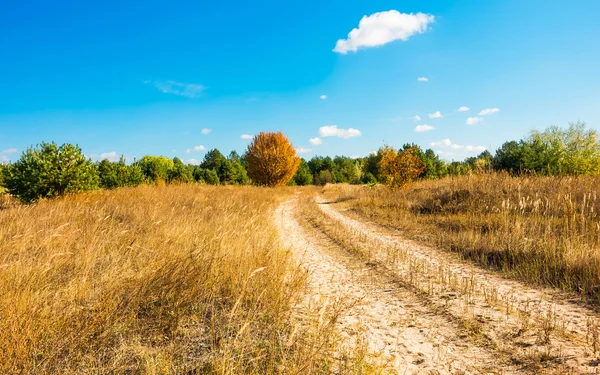 Estrada de campo no prado seco — Fotografia de Stock