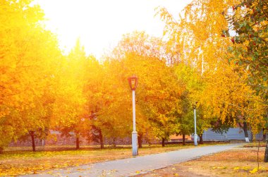 Sarı akçaağaç arka plan karşı Park fener sonbahar yaprakları