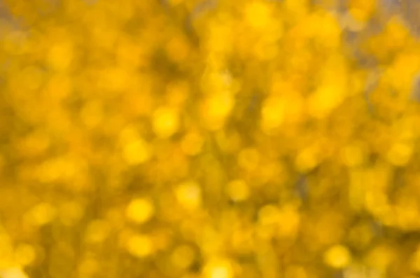 Красивая Желтая Размытая Абстрактная Текстура Фона — стоковое фото