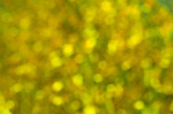 Жёлто-зелёная текстура — стоковое фото