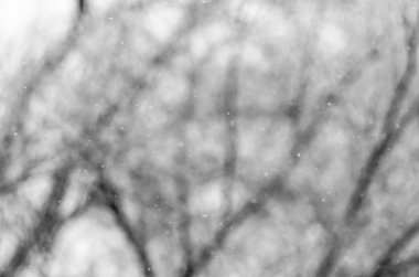 Noel ağacı arka plan üzerinde uçan kar