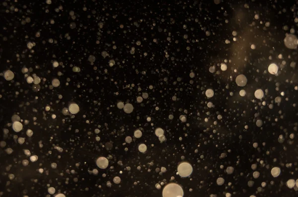 Зима падения снега черный фон — стоковое фото