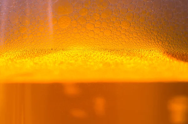 Pivo v pozadí skla — Stock fotografie