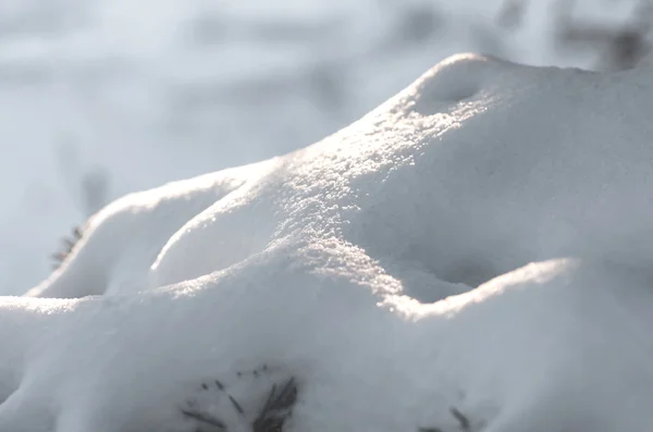 Neve Appena Caduta Inverno Bianco Primo Sfondo Vicino — Foto Stock