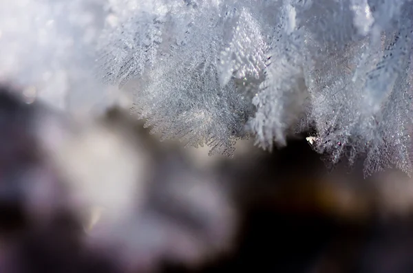 Schnee Und Windiger Wintertag Schließen Den Hintergrund — Stockfoto