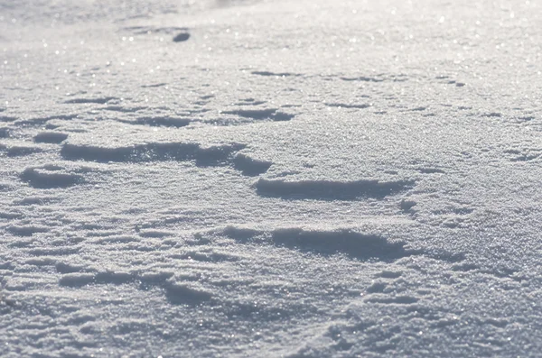 Свіжий Падаючий Сніг Взимку Білий Перший Фон Близько — стокове фото