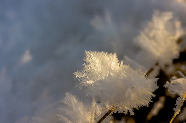 Nieve Pequeño Día Invierno Cerca Fondo — Foto de Stock