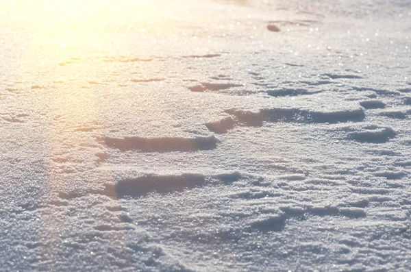 Textura de neve para o fundo — Fotografia de Stock