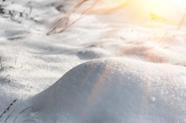 Κλείστε Φρέσκο Πεσμένο Χιόνι Στο Πρώτο Φόντο Λευκό Χειμώνα — Φωτογραφία Αρχείου