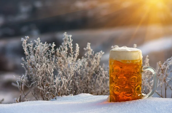 Öl i snön — Stockfoto