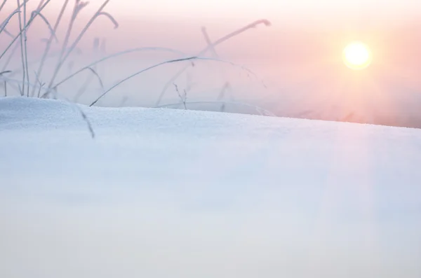 Sol Neve Início Manhã Inverno — Fotografia de Stock