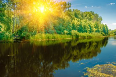 Orman bankalar Nehri üzerinde