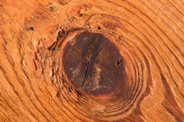 Textura de tábuas de pinho de madeira — Fotografia de Stock