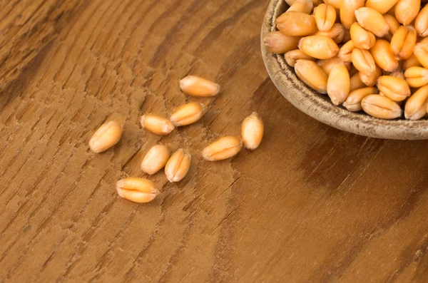 Органическое зерно ячменя — стоковое фото